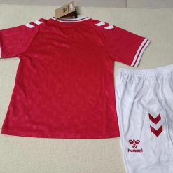 Alternative view of 2024 Kids Size Denmark National Team Home Football Shirt 1:1 Thai Quality